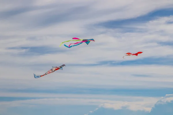 Uma Bela Vista Pipas Coloridas Voando Céu Nublado — Fotografia de Stock