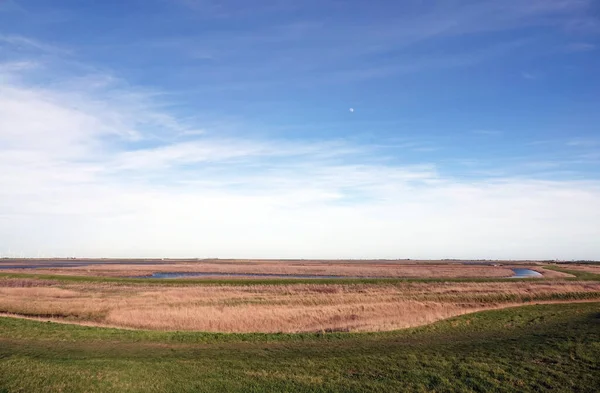 Céu Azul Nublado Bonito Com Lua Mostrando Sob Campo Vazio — Fotografia de Stock