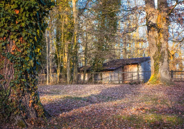 Een Opname Van Oud Landelijk Gebouw Het Platteland — Stockfoto