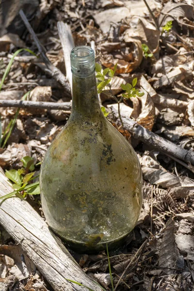 Disparo Vertical Una Vieja Botella Vidrio Oxidado Bosque Con Hojas —  Fotos de Stock