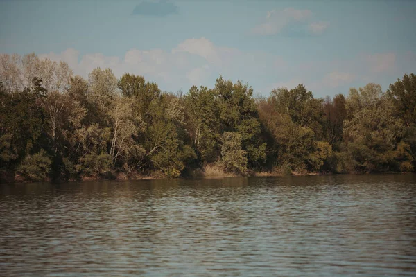 木々に囲まれた美しい湖の景色 — ストック写真
