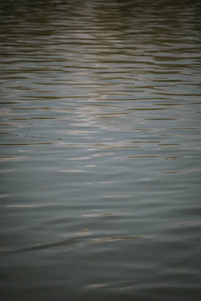 Colpo Verticale Una Struttura Dell Acqua Calma — Foto Stock