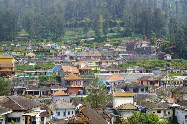 Une Belle Vue Sur Petit Village Ngadiwono Dans Bromo Indonésie — Photo