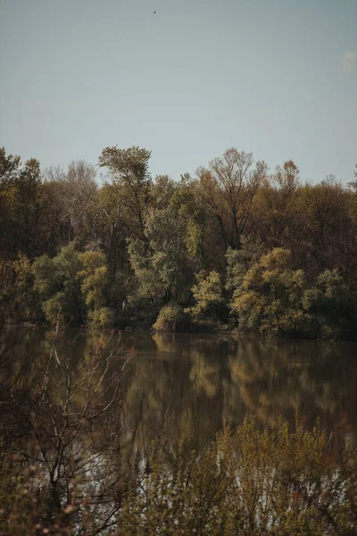Tiro Vertical Uma Vista Lago Cercada Por Árvores — Fotografia de Stock