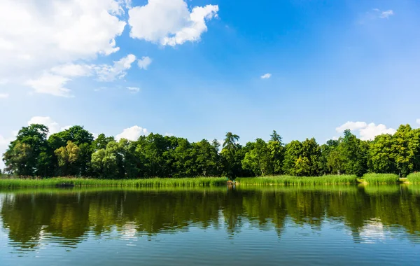 Uma Vista Panorâmica Das Árvores Refletida Rio Tranquilo Sob Céu — Fotografia de Stock