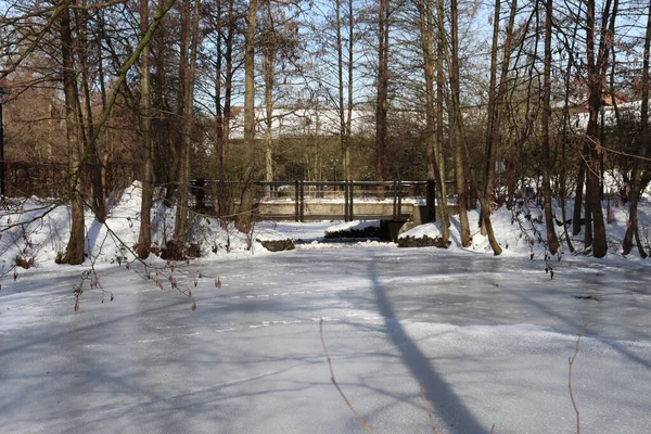 Beau Plan Lac Gelé Par Une Journée Ensoleillée Hiver — Photo