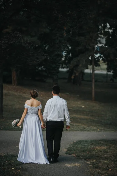在公园散步时 新婚夫妇手牵手的背影 — 图库照片