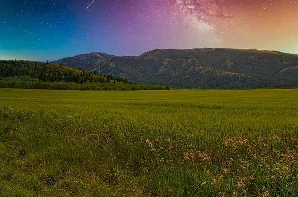 Eine Faszinierende Szenerie Einer Grünen Landschaft Bei Sonnenuntergang — Stockfoto