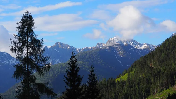 Hermoso Paisaje Los Árboles Terreno Montañoso Con Montañas Nevadas Fondo —  Fotos de Stock