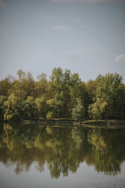 Красивый Снимок Отражения Деревьев Озере — стоковое фото