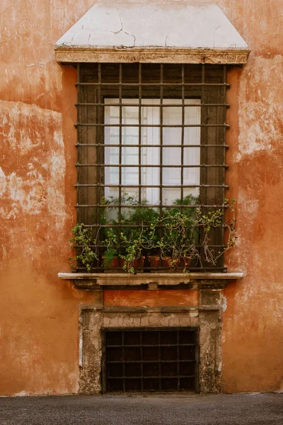 ローマの窓辺に植物のある古い建物の垂直ショット — ストック写真