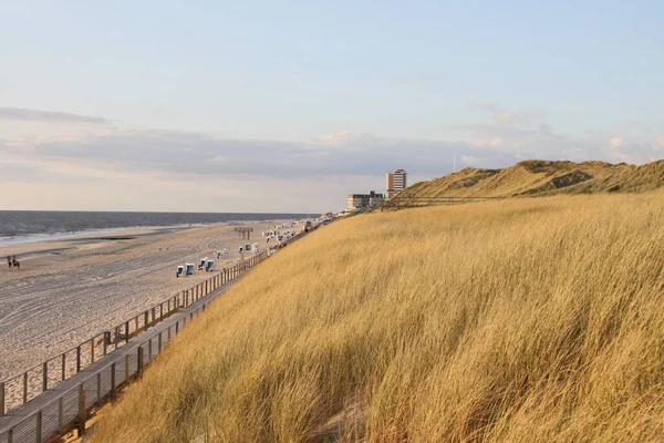 Een Betoverend Uitzicht Duingras Met Een Oceaan Tijdens Zonsondergang — Stockfoto