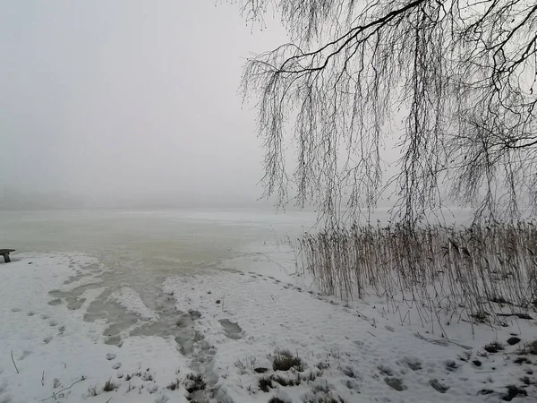 Paisaje Invierno Lago Congelado Con Árbol Desnudo Lado — Foto de Stock