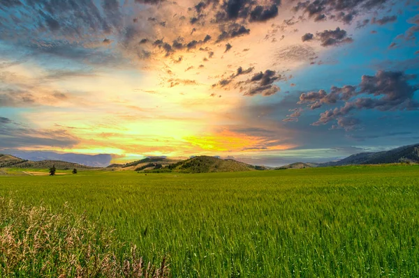 Okouzlující Scenérie Zelené Krajiny Při Západu Slunce — Stock fotografie