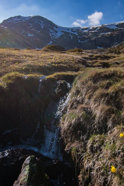 Wodospady Otoczone Pięknym Polem Krajobrazowym Śnieżnym Tle Góry — Zdjęcie stockowe