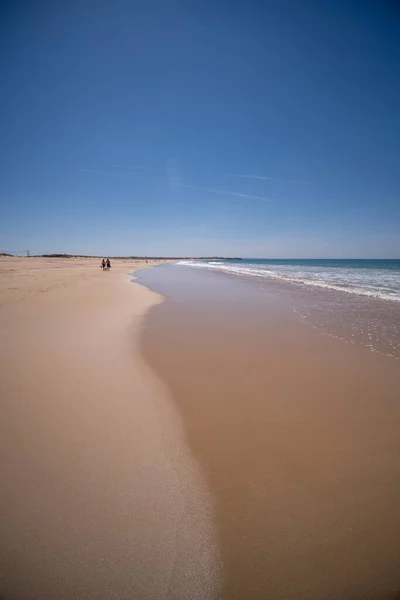 Colpo Verticale Spiaggia Sabbia Fine Sotto Cielo Blu Perfetto Carta — Foto Stock