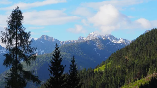 Hermoso Paisaje Los Árboles Terreno Montañoso Con Montañas Nevadas Fondo —  Fotos de Stock