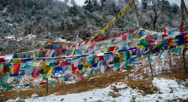 Tiro Banderas Oración Paso Bután —  Fotos de Stock