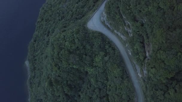 Widok Powietrza Rzekę Lesie — Wideo stockowe