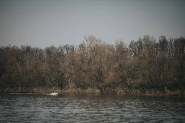 背景に鬱蒼とした森のある湖に浮かぶ小さな白い船の自然風景 — ストック写真