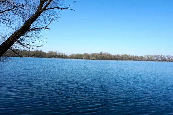 Lac Calme Avec Des Arbres Automne Arrière Plan — Photo