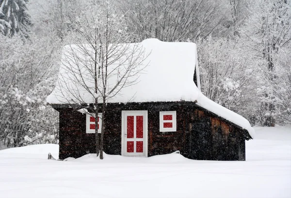 Primer Plano Una Acogedora Casa Parque Invierno — Foto de Stock