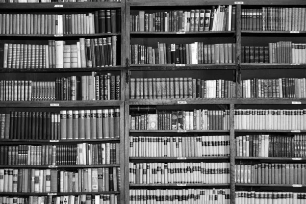 Una Biblioteca Con Muchos Libros Casa Conmemorativa Octavian Goga Ciucea —  Fotos de Stock