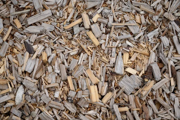 Top View Dry Chopped Firewood Pattern — Stock Photo, Image