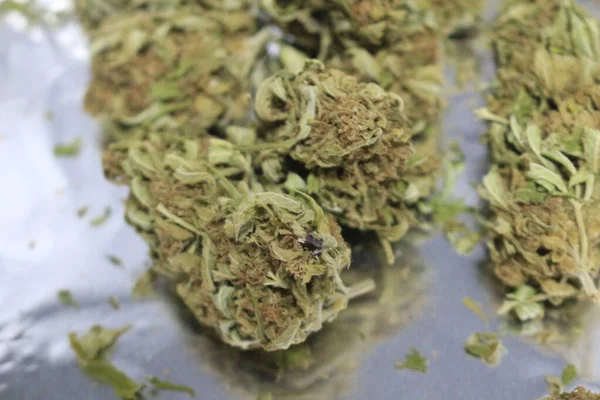 Gros Plan Une Pile Bourgeons Feuilles Cannabis Séchés Sur Plateau — Photo