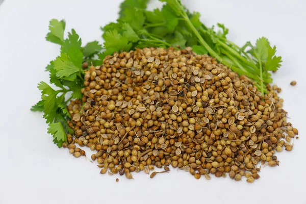 Closeup Spicy Healthy Coriander Seeds Next Leaves Isolated White Background — Stock Photo, Image