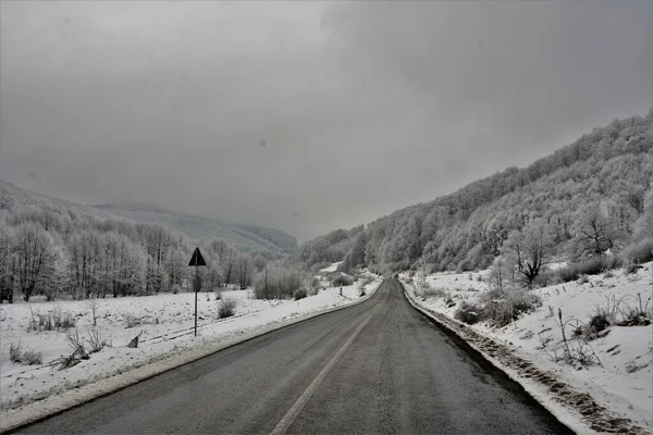 Una Strada Vuota Circondata Colline Alberi Ricoperti Neve Una Giornata — Foto Stock