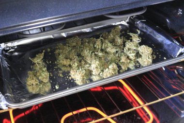 A closeup of drying cannabis leaves and buds in a convection oven undergoing decarboxylation clipart