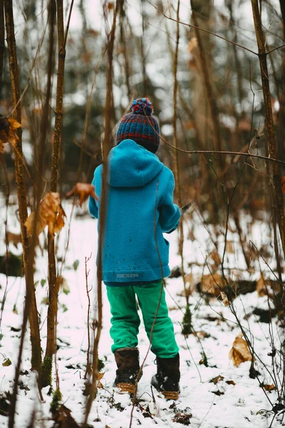 Widok Tyłu Chłopca Zimowych Ubraniach Pokrytym Śniegiem Lesie — Zdjęcie stockowe