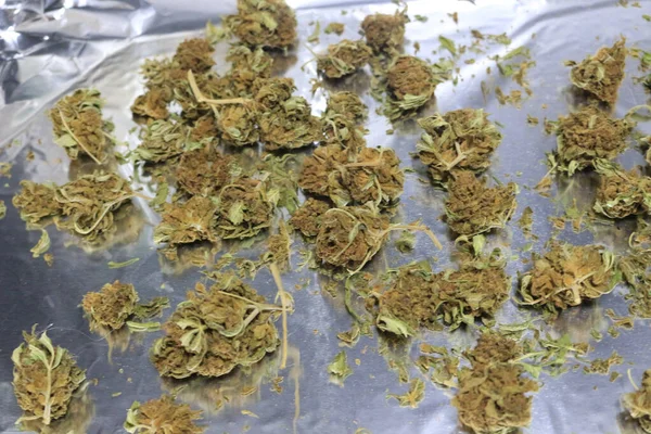 Szárított Kannabiszvirág Bimbók Levelek Közelsége Dekarboxilálásra Kész Tálcán — Stock Fotó