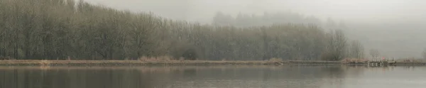Панорама Берега Туманный День Желтым Полем Травы Деревьями Спокойной Водой — стоковое фото