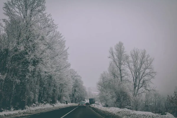 Красиве Снігове Шосе Через Ліс Мало Машин Рухаються Одному Напрямку — стокове фото