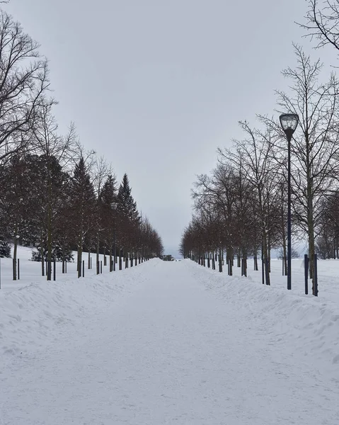 Vertical Shot Snowy Trail Park Kaivopuisto Helsinki — Stock Photo, Image