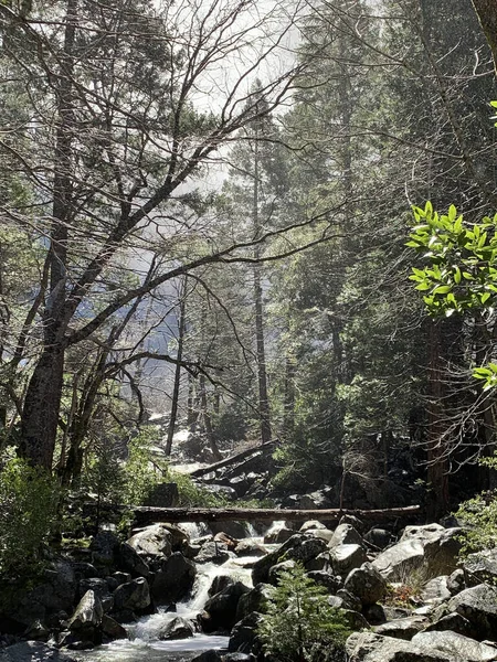 Tiro Vertical Rio Fluindo Com Pedras Enormes Através Uma Floresta — Fotografia de Stock