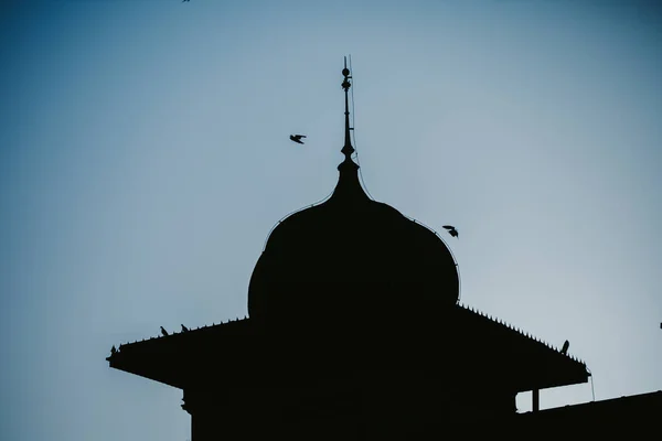 夜空を背景にドームの上を飛ぶ鳥の垂直ショット — ストック写真