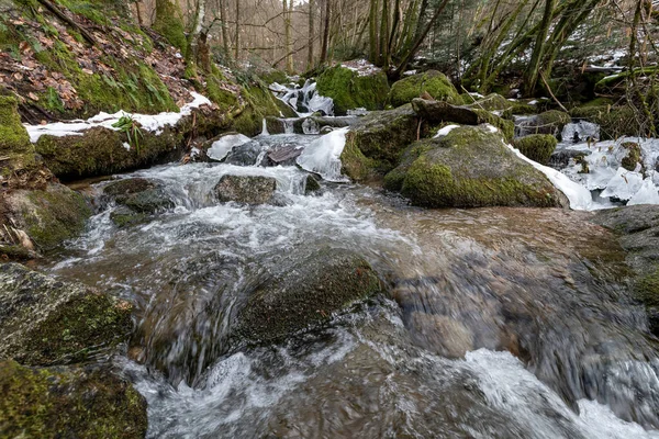 Холодный Вид Текущую Воду Камнем Покрытым Зеленым Мхом Шварцвальде Германии — стоковое фото