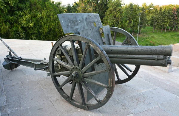 Närbild Gammal Metallkanon Parken — Stockfoto