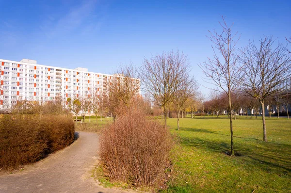 Poznan Polen März 2021 Fußweg Einem Park Mit Bäumen Und — Stockfoto