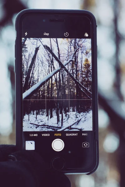 Селективный Фокус Смартфона Фотографирующего Заснеженное Поле Лесу — стоковое фото