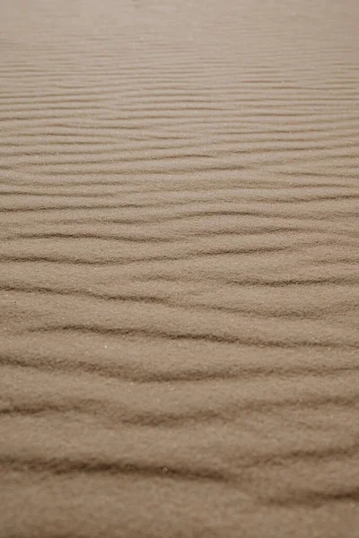 Вертикальный Снимок Песчаных Дюн Пустыне — стоковое фото