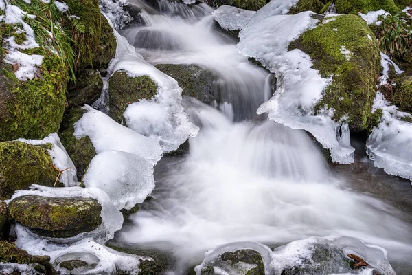 Холодный Вид Текущую Воду Камнем Покрытым Зеленым Мхом Шварцвальде Германии — стоковое фото