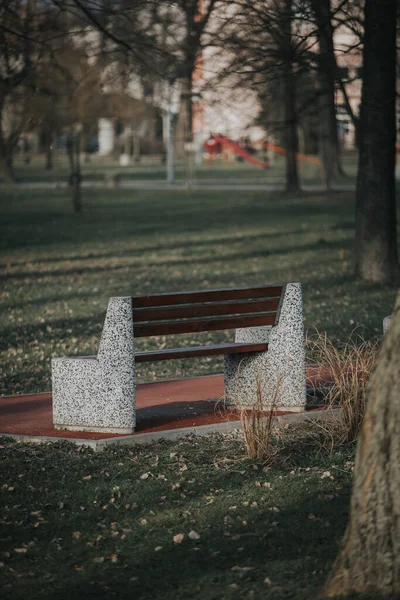 아름다운 공원에 벤치의 뒷모습 — 스톡 사진