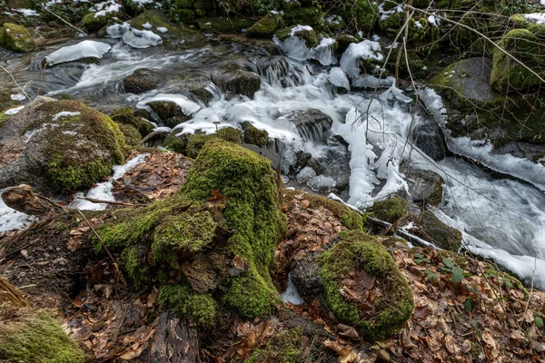 Une Vue Glaciale Eau Courante Avec Pierre Recouverte Mousse Verte — Photo