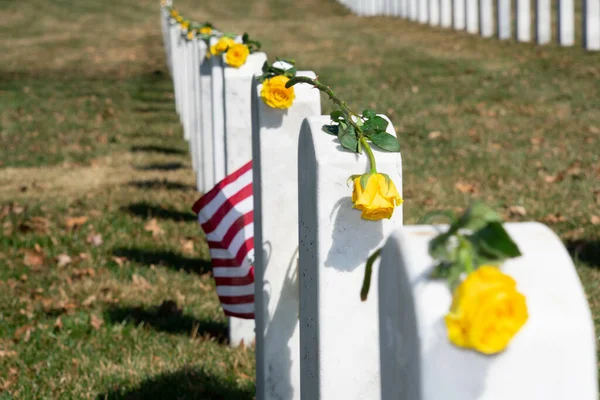 Small American Flag Gravestones Yellow Roses Top Arlington National Cemetery — Stock Photo, Image
