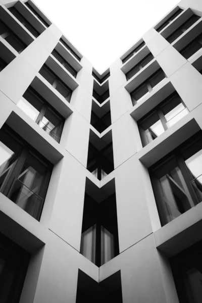 Plano Vertical Escala Grises Edificio Gran Altura — Foto de Stock