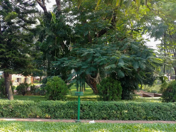 Uma Bela Vista Parque Cercado Por Verdes Árvores — Fotografia de Stock